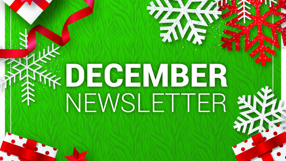 December 2020 Newsletter_Blog