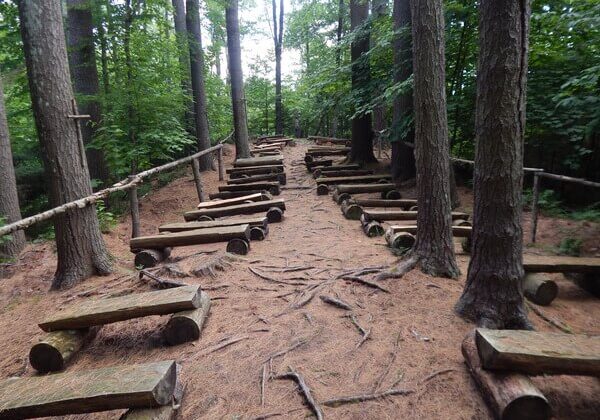 chapel in the pines