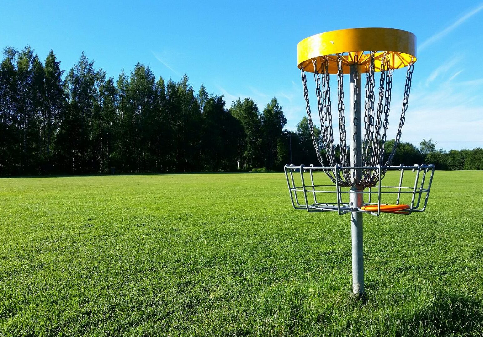 disc golf